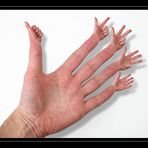 Zehnfingerhand