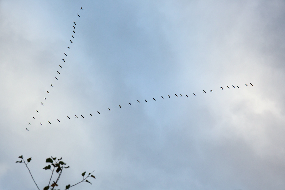 Zeichen am Himmel - Herbst