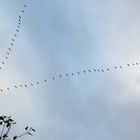 Zeichen am Himmel - Herbst