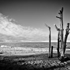 Zeichen am Strand ...