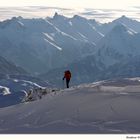 Zeichen der Natur