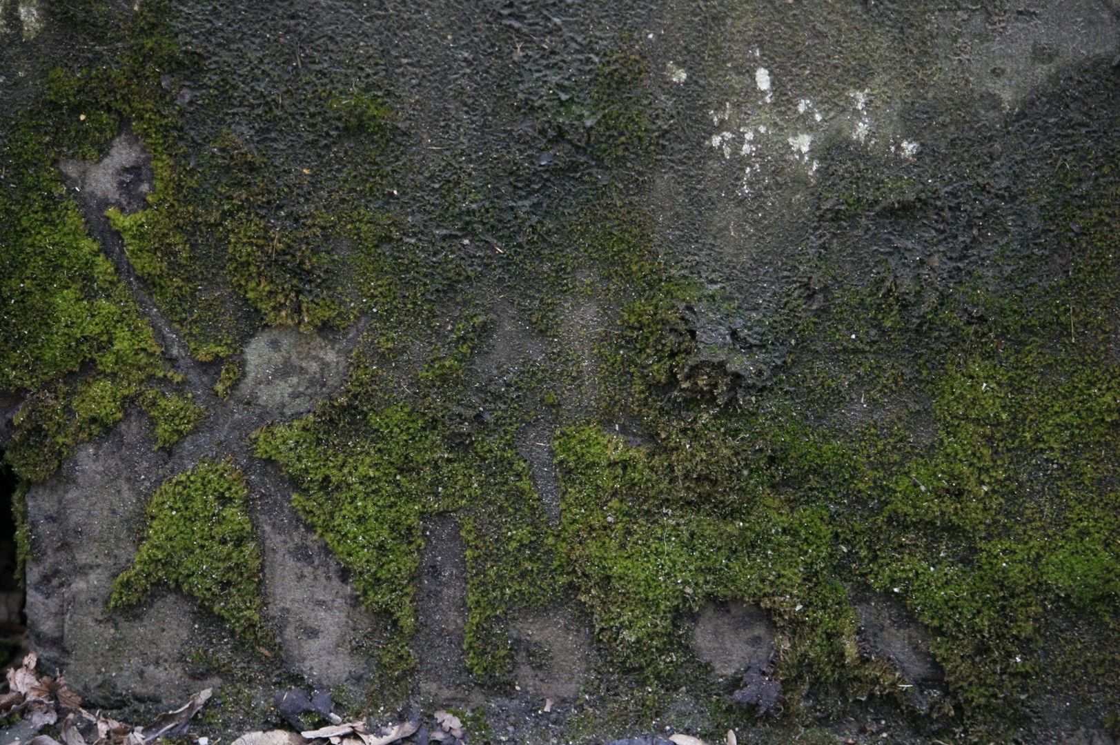 Zeichen der Zeit - Steinwand mit Moos