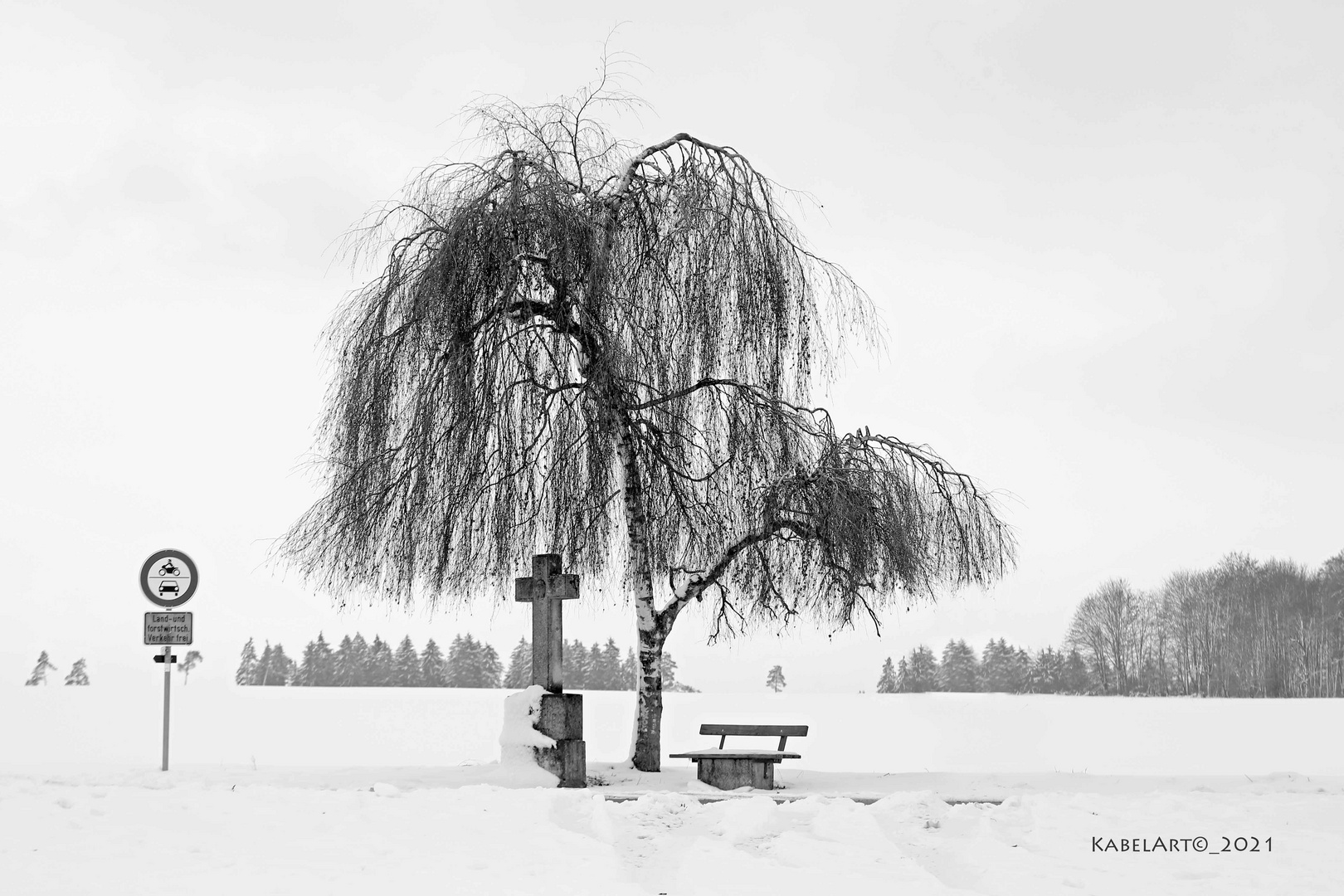 Zeichen der Zeit__WInterlandschaft im Schwarzwald Baar Kreis