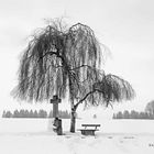 Zeichen der Zeit__WInterlandschaft im Schwarzwald Baar Kreis