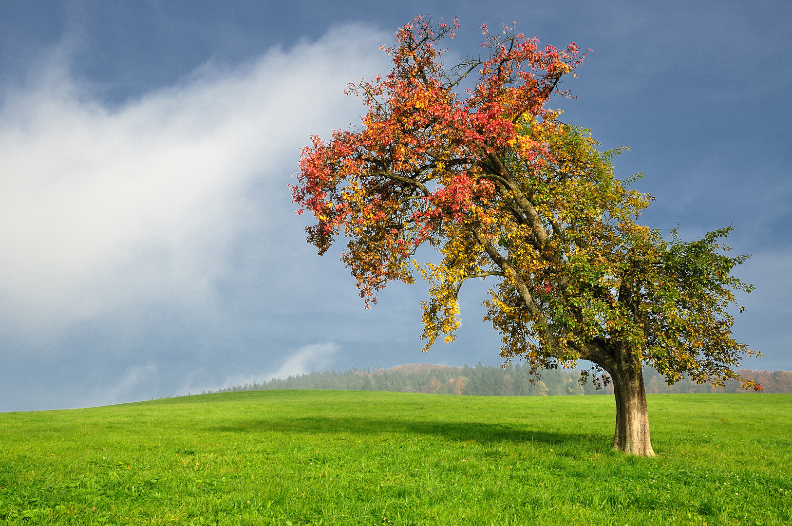 Zeichen des Herbstes