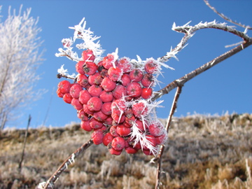 Zeichen des Winters