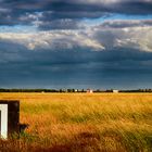 Zeichen im Feld