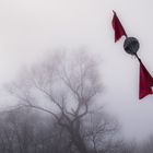 Zeichen im Nebel