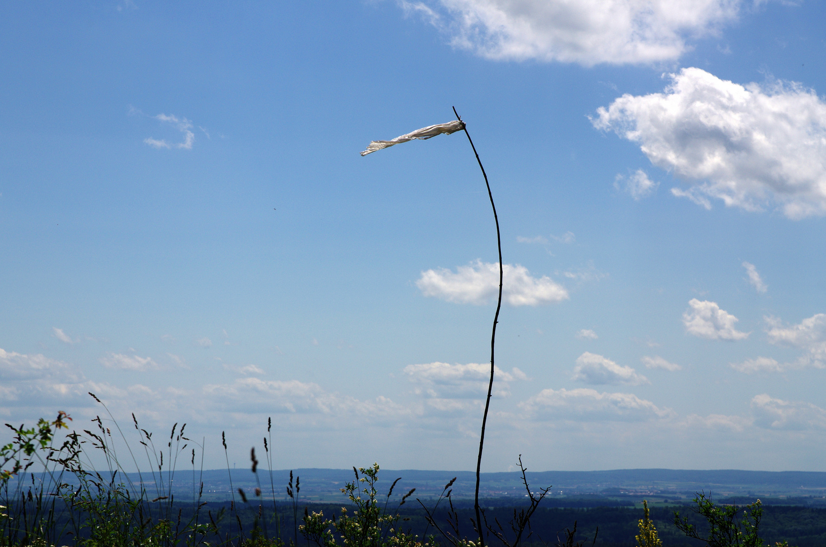 Zeichen im Wind