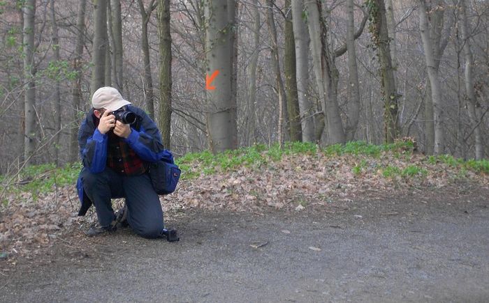 Zeichensprache der Natur