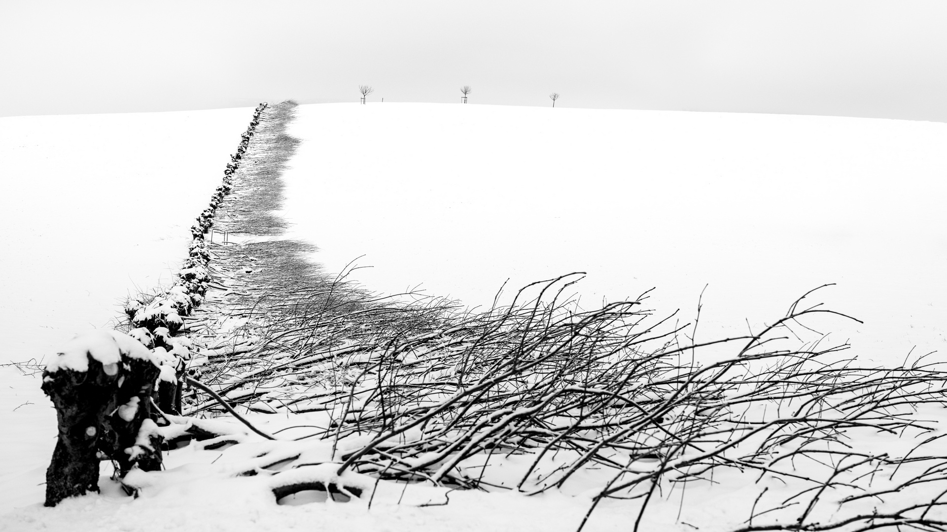 Zeichnung im Schnee