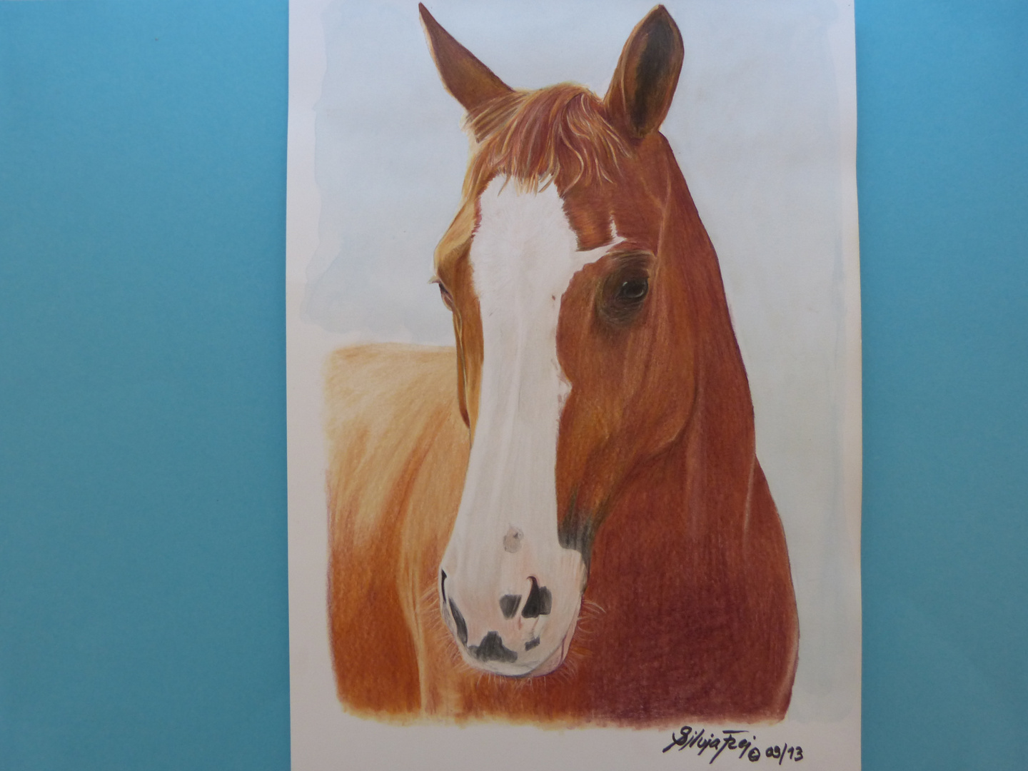 Zeichnung rotes Pferd