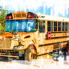 Zeichnung, SCHOOL BUS, Cape Coral, Florida