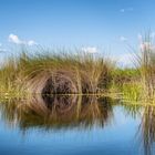 Zeichnungen im Okavango