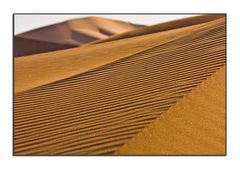 Zeichnungen im Sand der Namib