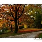 ~ * ZEIG DOCH MAL DEIN SCHÖNSTES HERBSTBILD...* ~