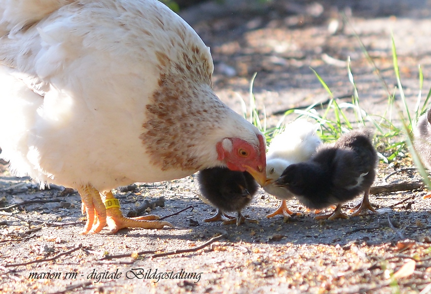 " Zeig mal, Mama..."