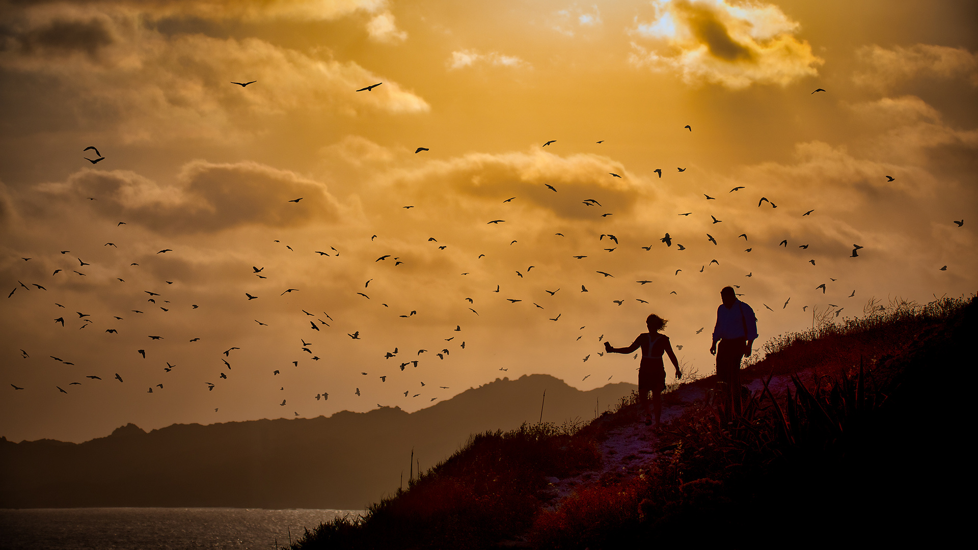 Zeig mir das Meer .... zeig mir den Wind.......lass uns fliegen.....