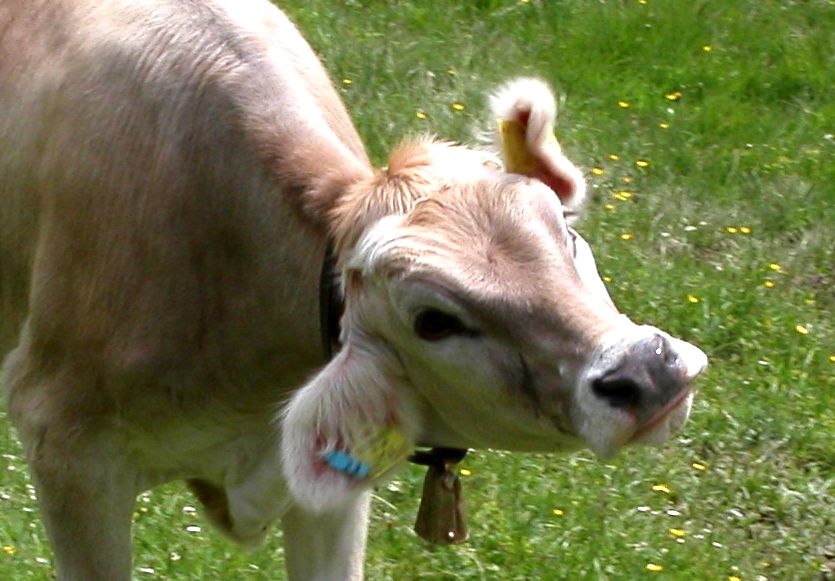 zeig deine bilder zeig deine bilder