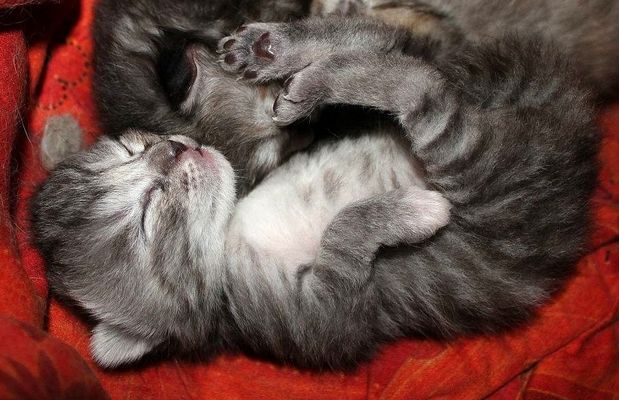 Zeigt her eure Füsse!