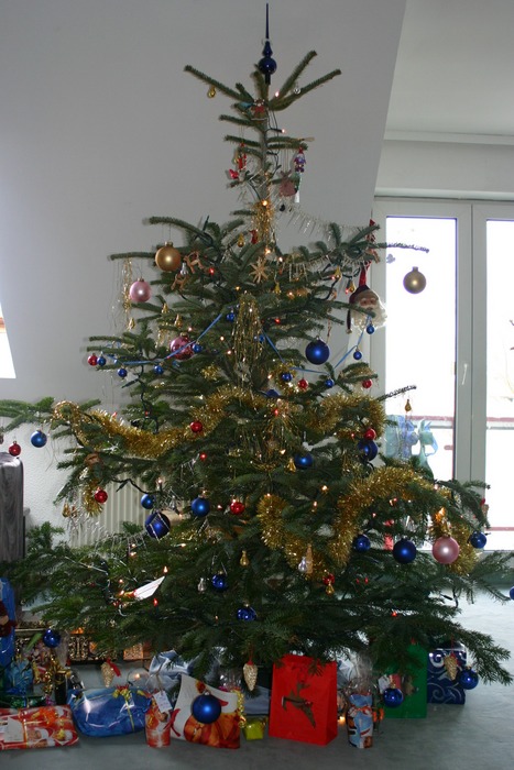 Zeigt mir Euren Weihnachtsbaum... von Nick V