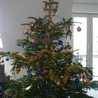 Zeigt mir Euren Weihnachtsbaum...