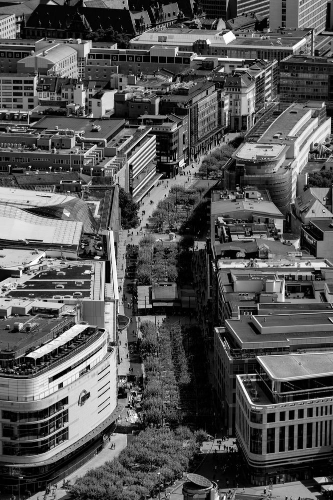 zeil frankfurt