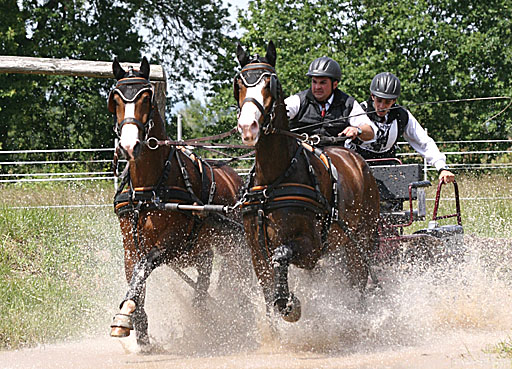 Zeiskam S-Turnier Fahren