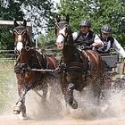 Zeiskam S-Turnier Fahren