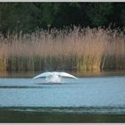 Zeit am See