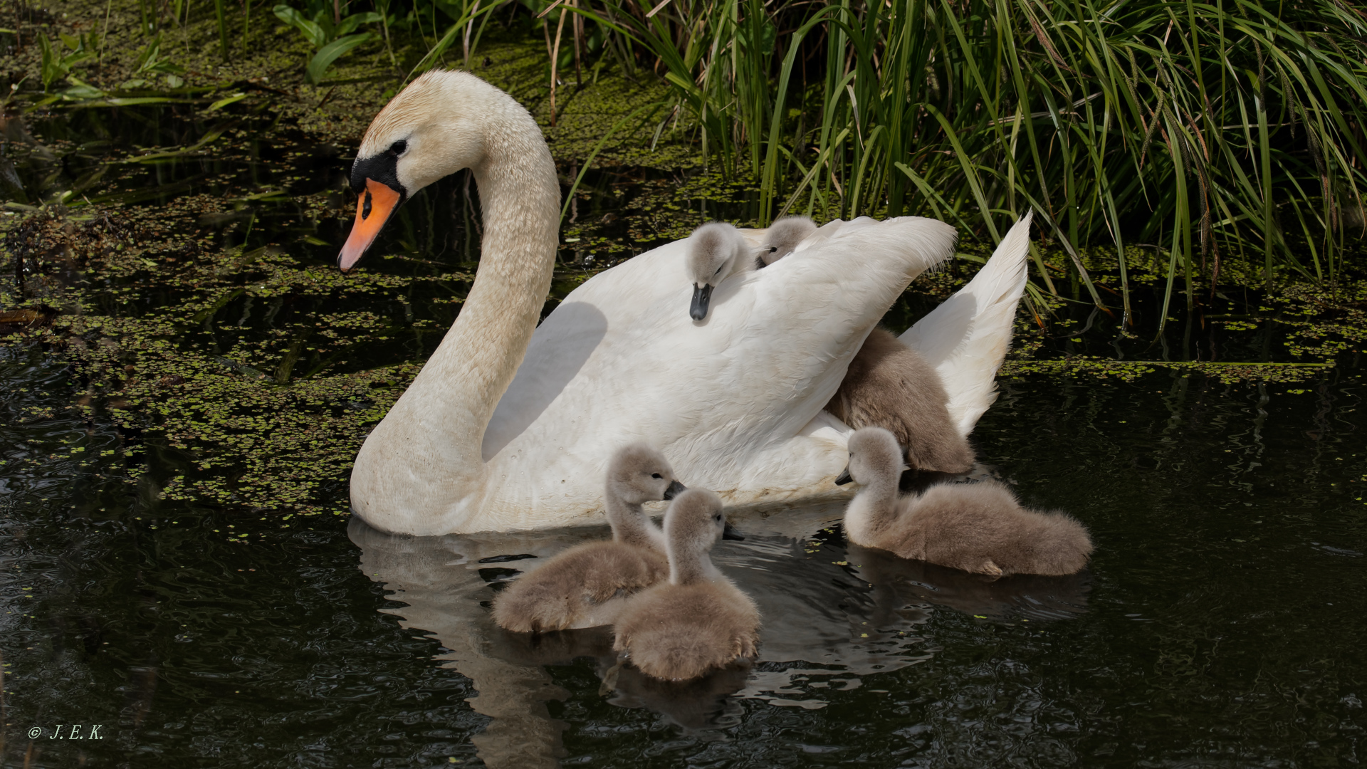 Zeit an Bord zu gehen