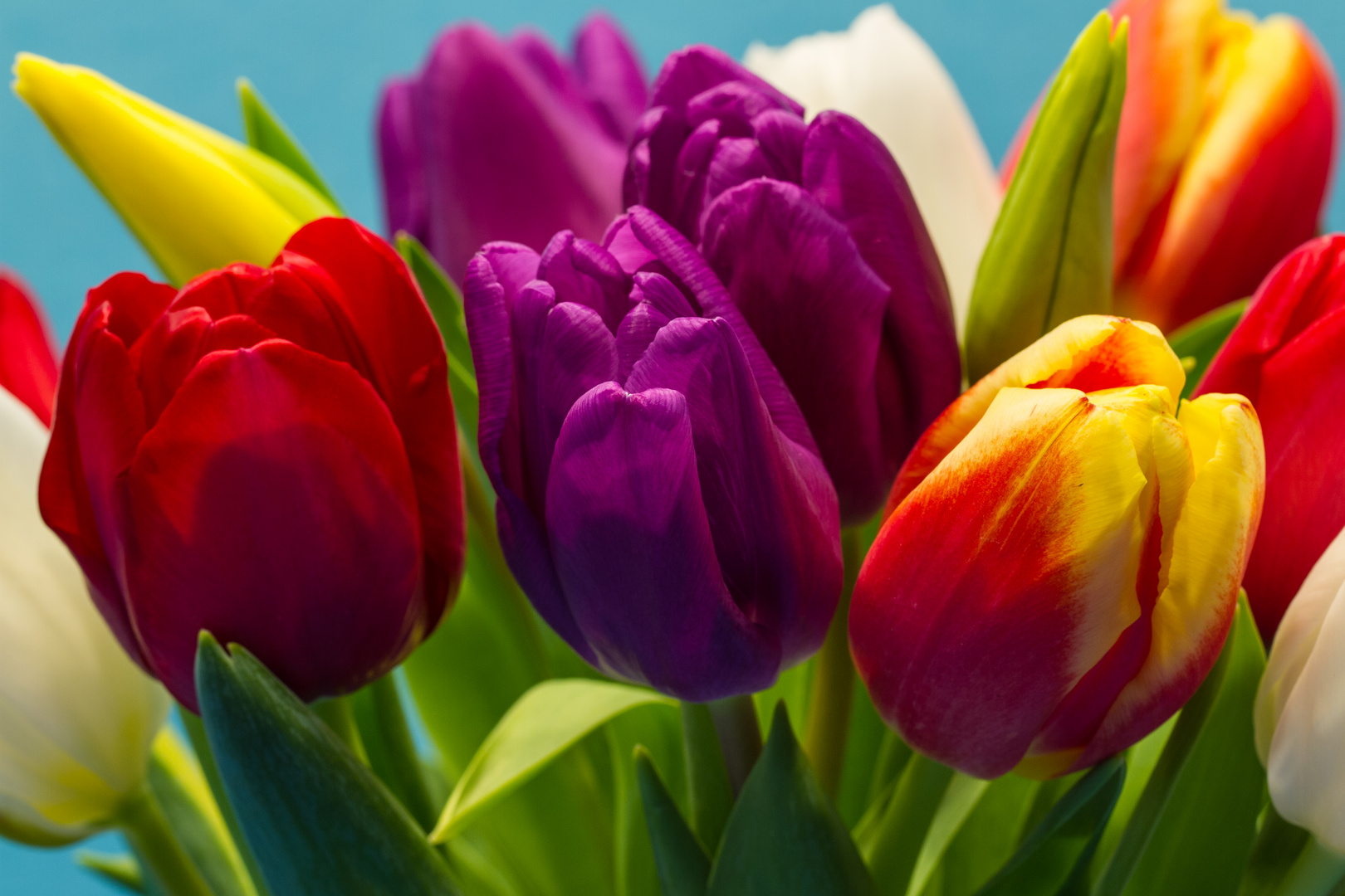 Zeit das es Frühling wird