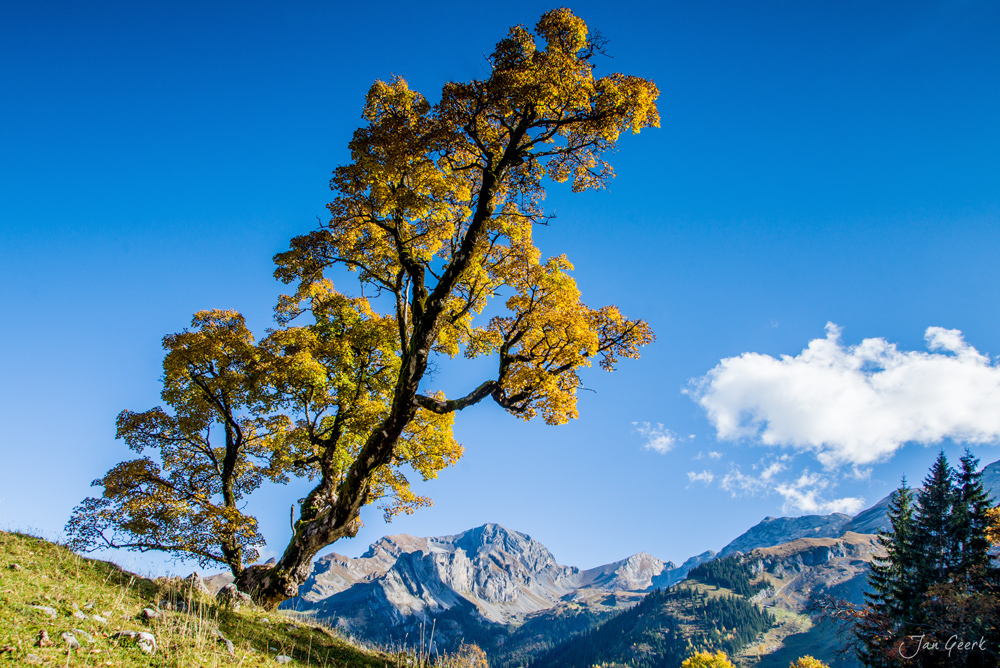 Zeit der Farben