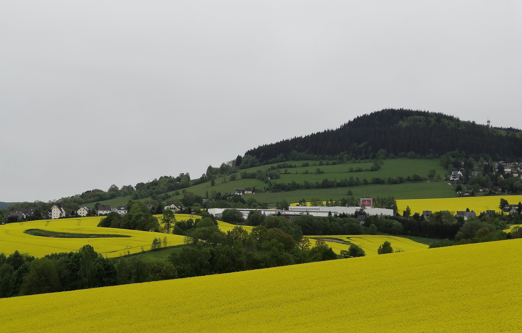 Zeit der gelben Farbe.