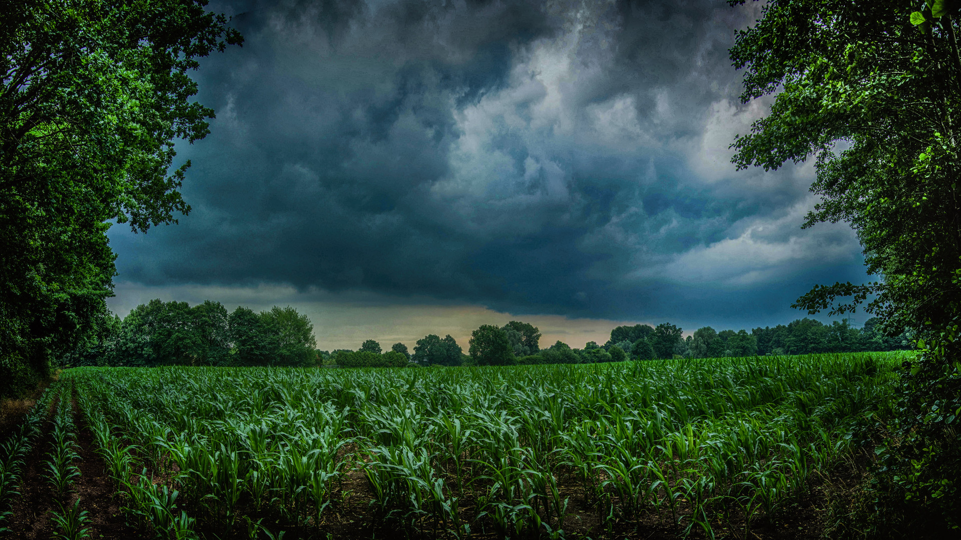 Zeit der Gewitter 2