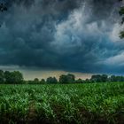 Zeit der Gewitter 2