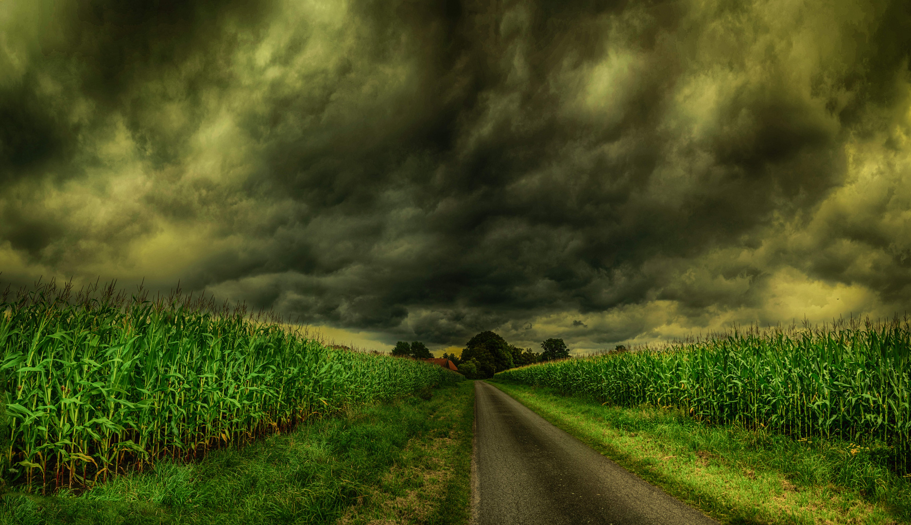 Zeit der Gewitter