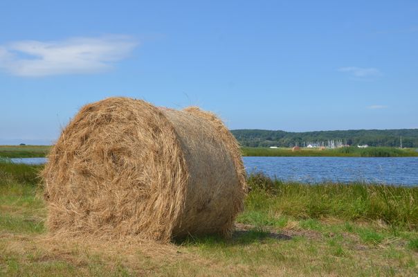 Zeit der Heuballen 2025