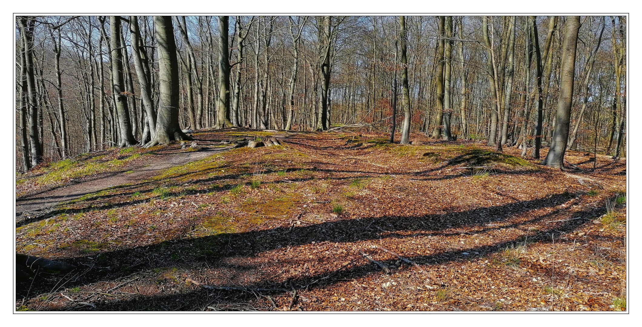 Zeit der langen Schatten