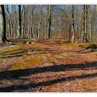 Zeit der langen Schatten