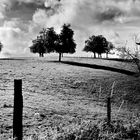 zeit der langen schatten