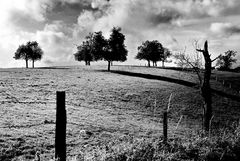 zeit der langen schatten