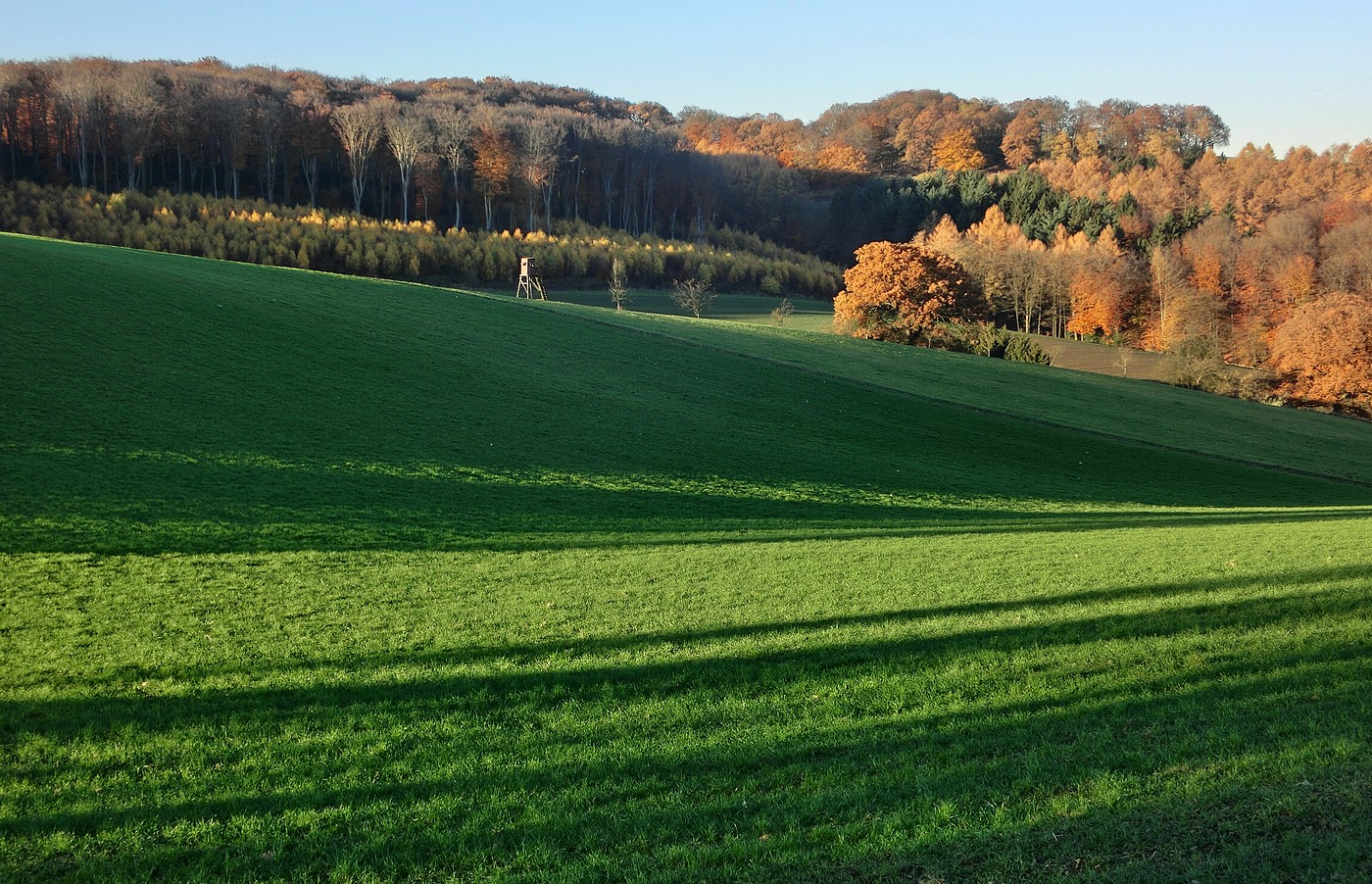 Zeit der langen Schatten