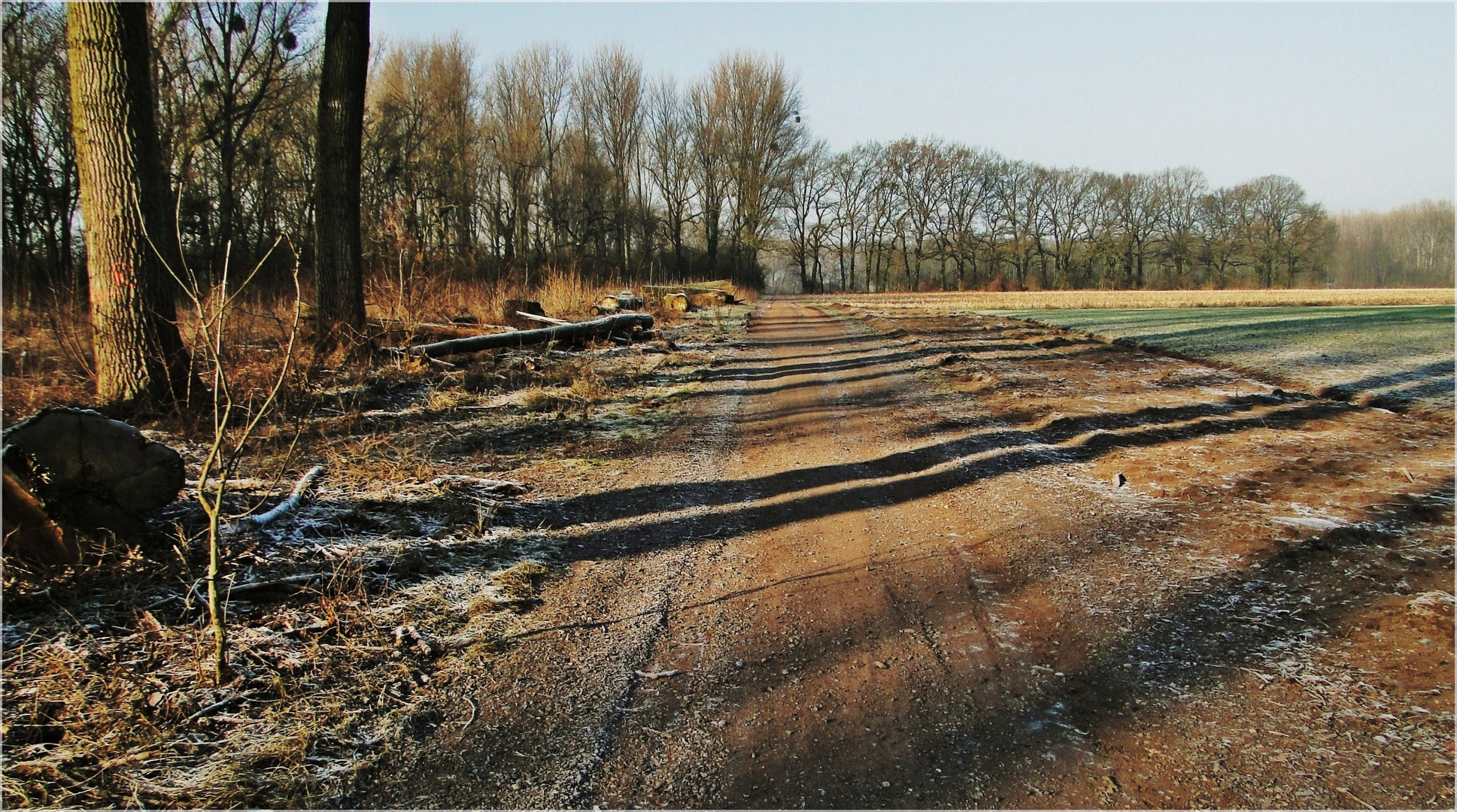 Zeit der langen Schatten ...