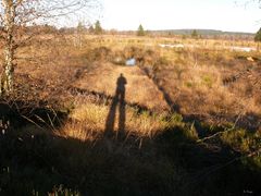 Zeit der langen Schatten