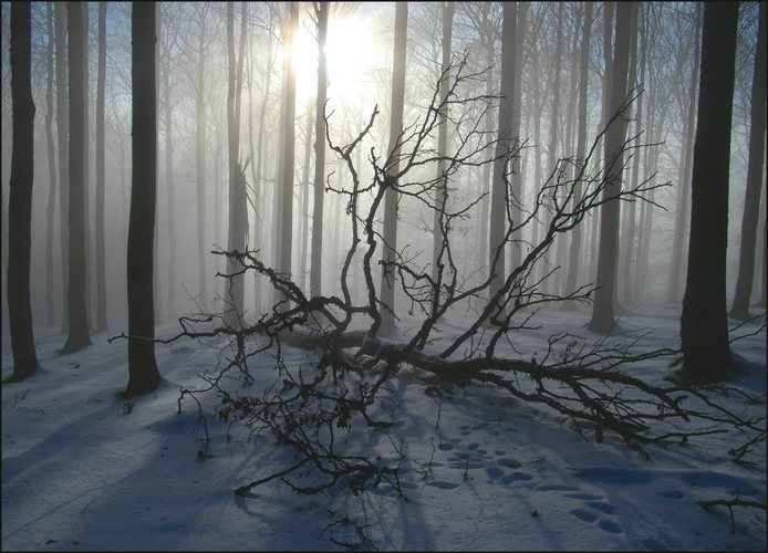 Zeit der langen Schatten