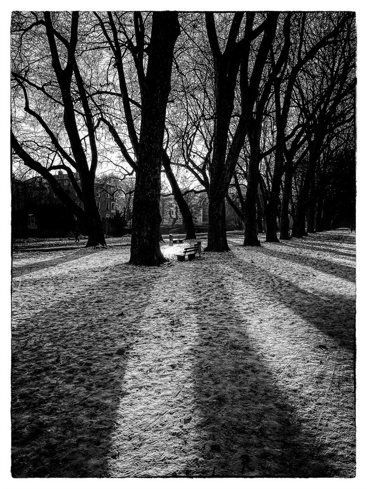 Zeit der langen Schatten