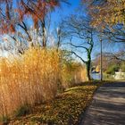 Zeit der langen Schatten