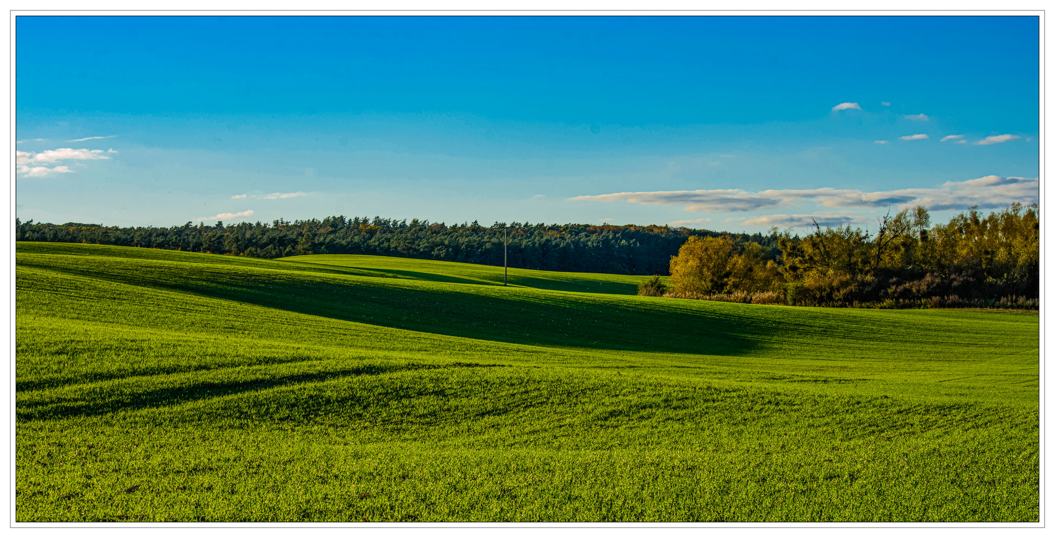 Zeit der langen Schatten I