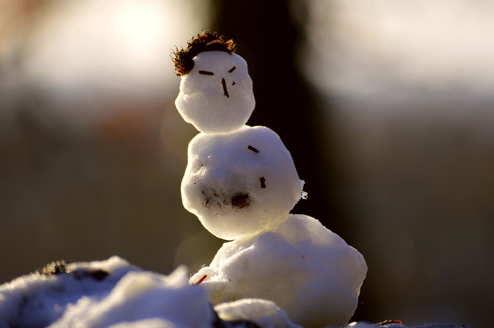 Zeit der Schneemänner